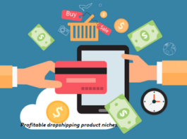 Dropshipping product niches