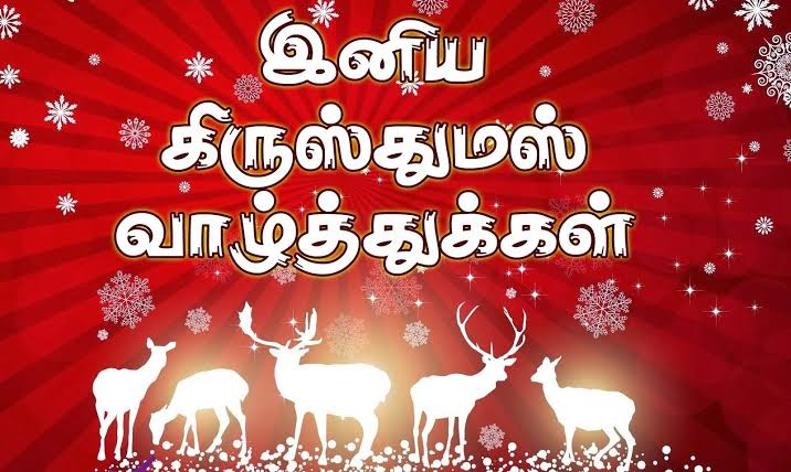 Beautiful Christmas Tamil Wishes in 2020