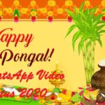 Pongal WhatsApp video status 2020 download
