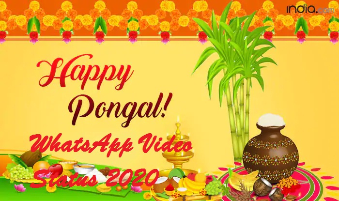Pongal WhatsApp video status 2020 download in HD  