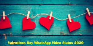 valentines day whatsapp video status 2020