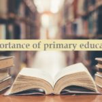 Importance of primary education process