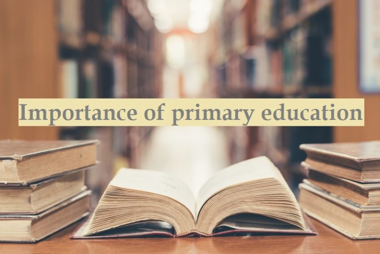 Importance of primary education process