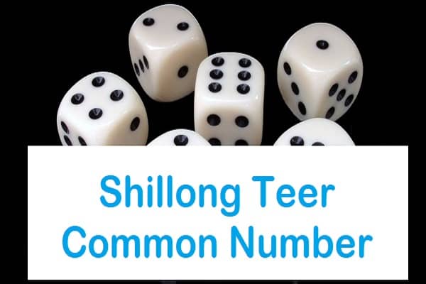 Shillong Teer Common Number